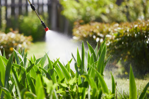 Tamper-Resistant Bait Stations for Rodents in Calwa