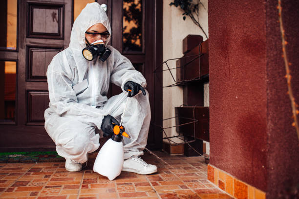 Attic and Crawl Space Rodent Treatment in Calwa